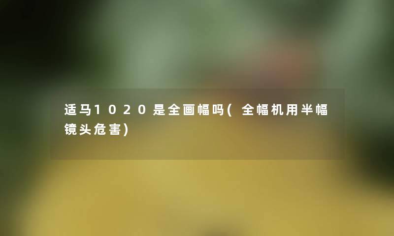 适马1020是全画幅吗(全幅机用半幅镜头危害)