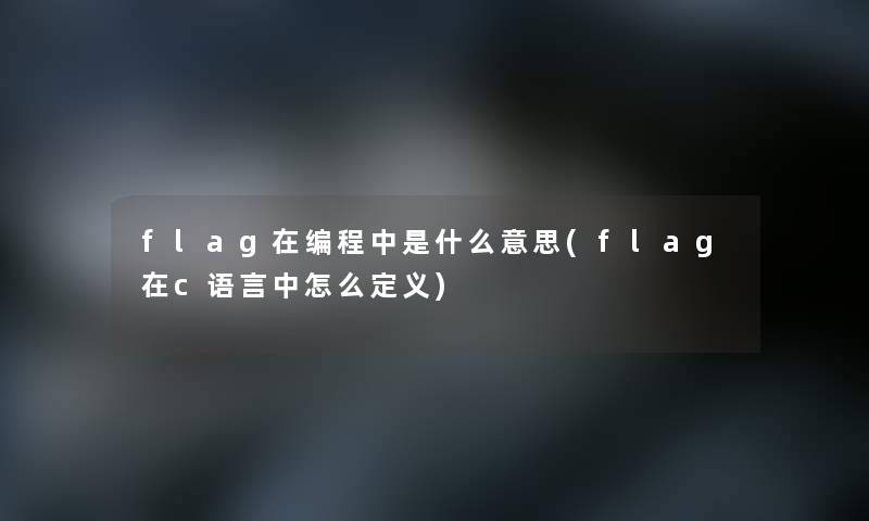 flag在编程中是什么意思(flag在c语言中怎么定义)