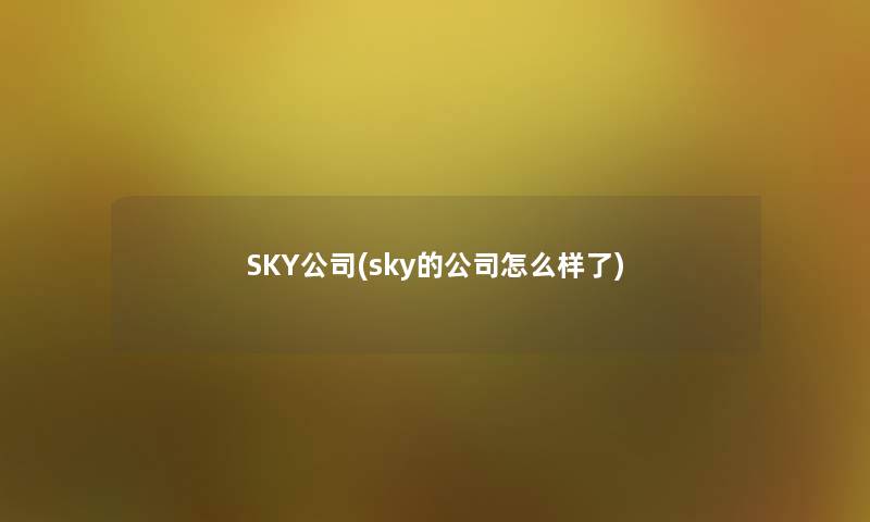 SKY公司(sky的公司怎么样了)