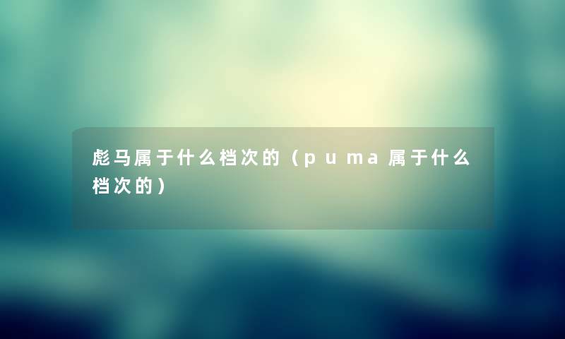 彪马属于什么档次的（puma属于什么档次的）