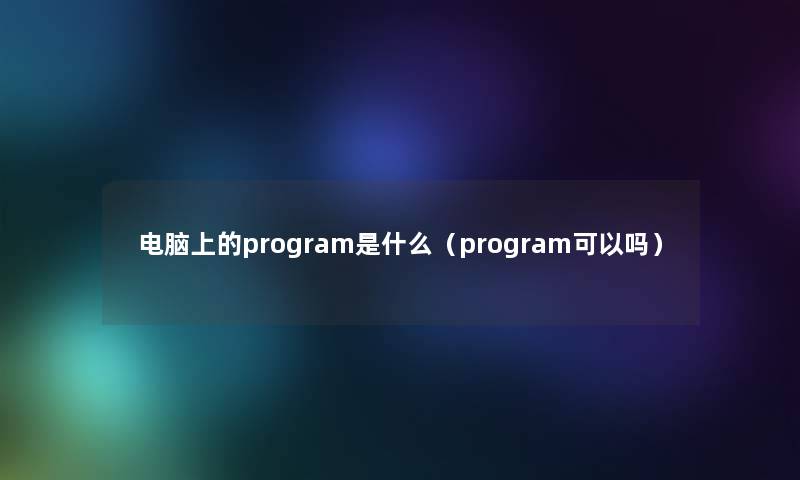 电脑上的program是什么（program可以吗）