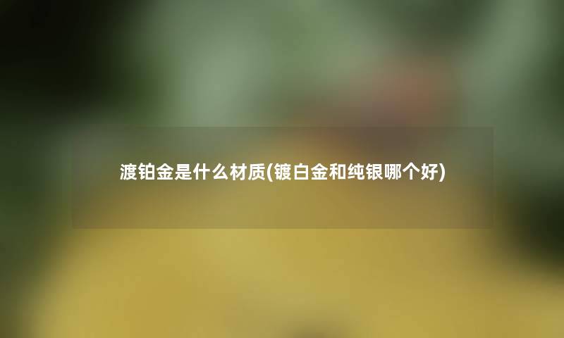 渡铂金是什么材质(镀白金和纯银哪个好)