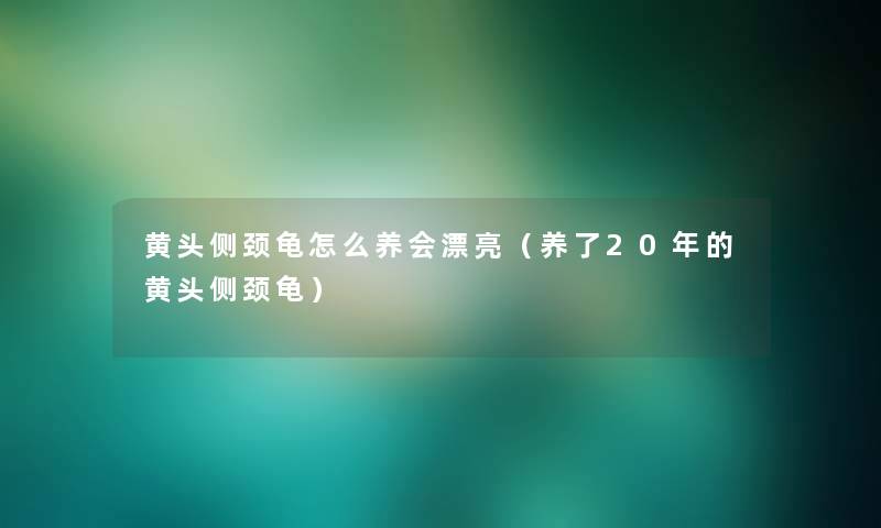 黄头侧颈龟怎么养会漂亮（养了20年的黄头侧颈龟）