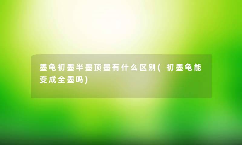 墨龟初墨半墨顶墨有什么区别(初墨龟能变成全墨吗)