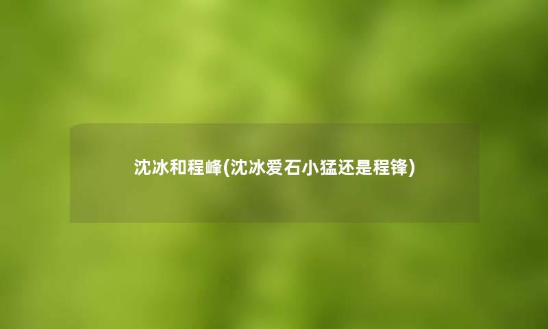 沈冰和程峰(沈冰爱石小猛还是程锋)