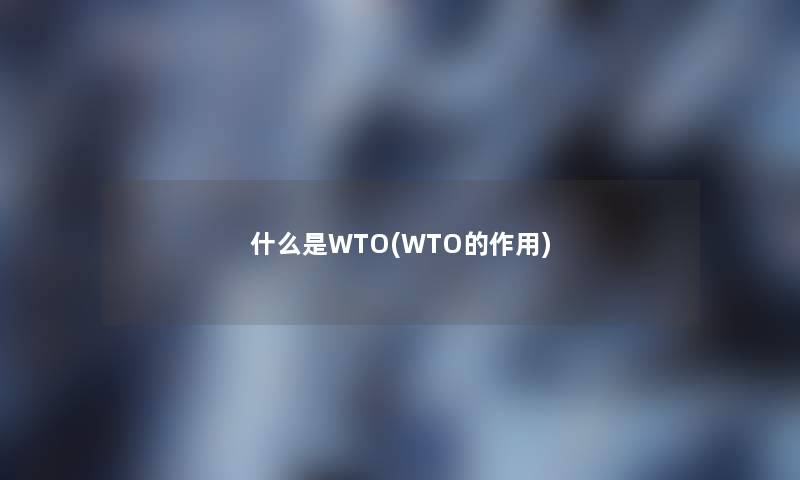 什么是WTO(WTO的作用)