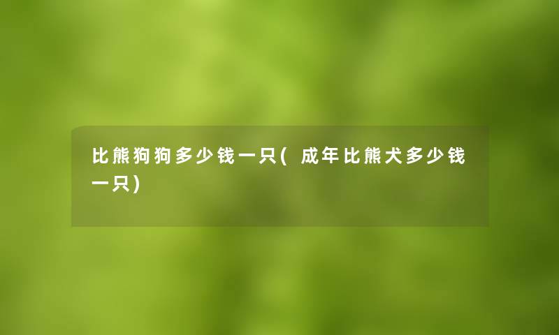 比熊狗狗多少钱一只(成年比熊犬多少钱一只)