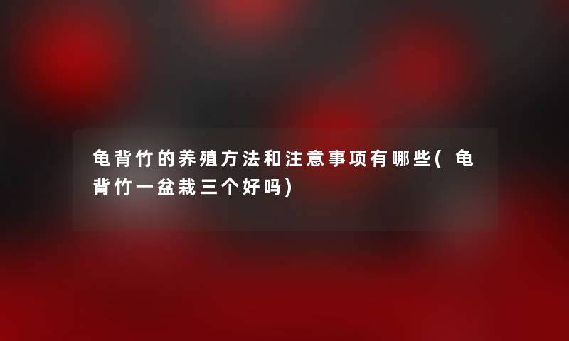 龟背竹的养殖方法和事项有哪些(龟背竹一盆栽三个好吗)