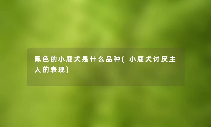 黑色的小鹿犬是什么品种(小鹿犬讨厌主人的表现)